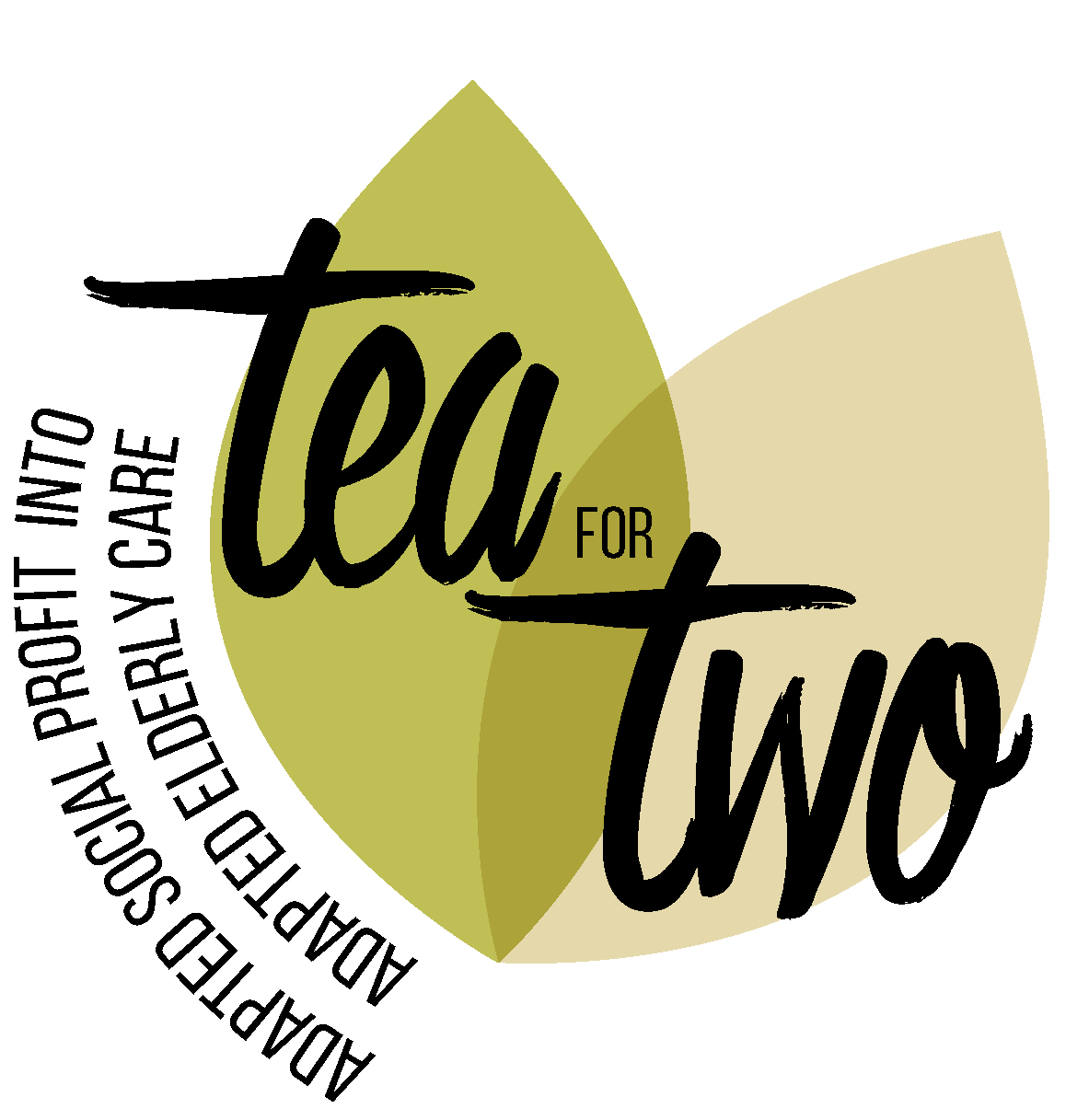 Tea for Two Sociaal ondernemen in de Subsidiemanager
